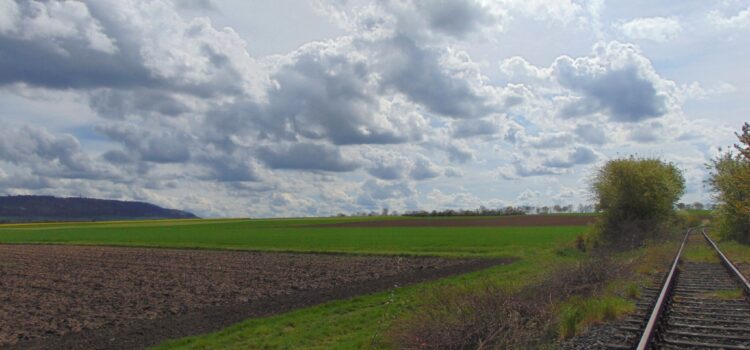 Weinfahrten auf der Steigerwaldbahn: Schienen führen aus der Krise Schienen an den Feldern, im Hintergrund der Steigerwald